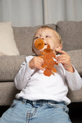 Load image into Gallery viewer, Dibly Amber - Baltic Amber & Natural Rubber Dinosaur Teether with Toothbrush Tail