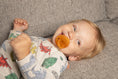 Cargar la imagen en la vista de la galería, The Perfect Natural Teething Package