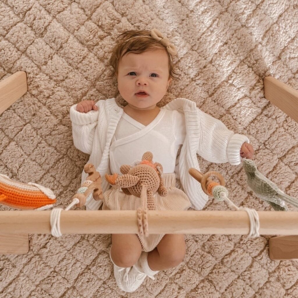 Handmade Crochet Toys for Baby Gym | Boho Desert