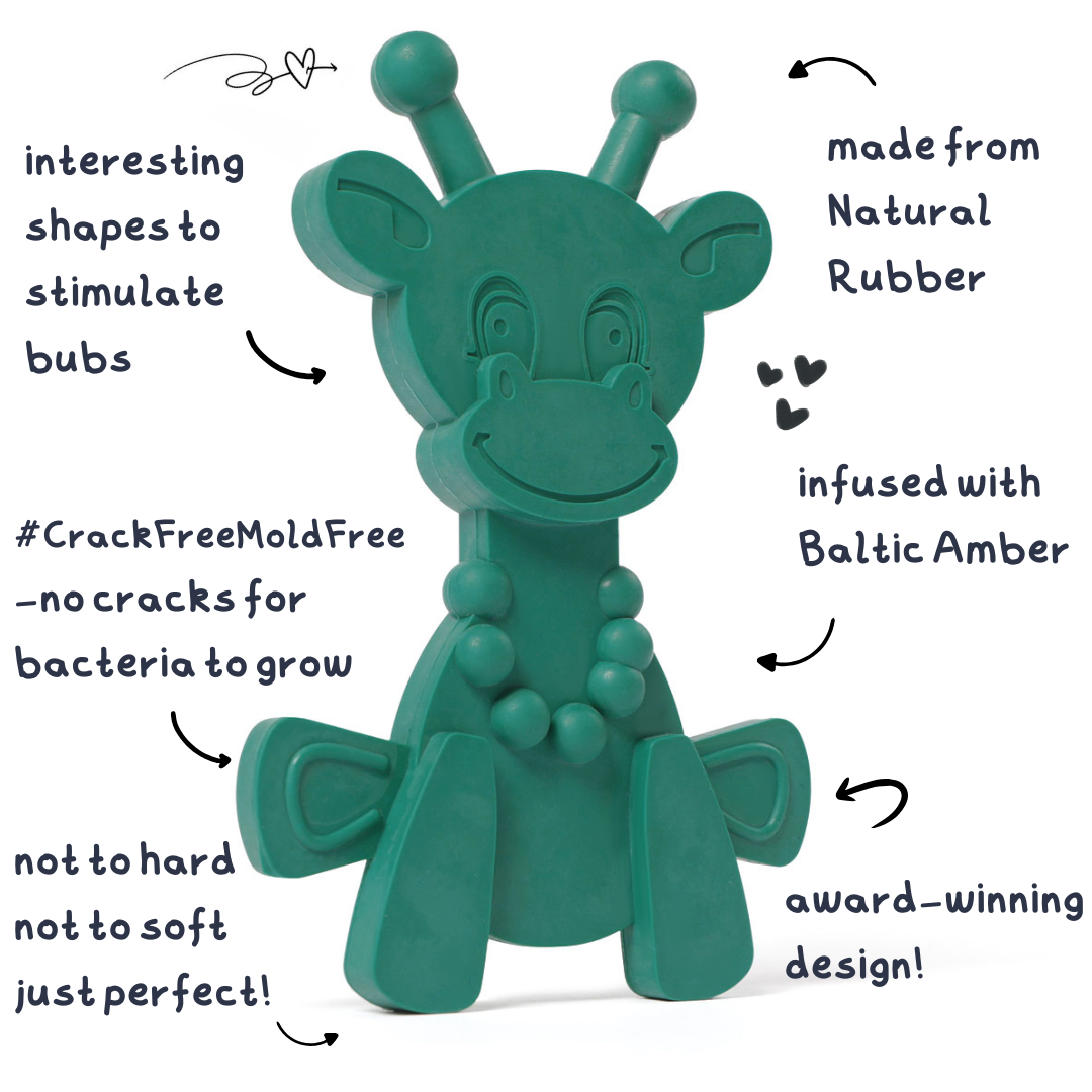 The Little Bamber - Green - Natural Rubber & Baltic Amber Teething Toy