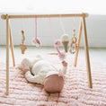 Cargar la imagen en la vista de la galería, Handmade Crochet Toys for Baby Gym | Flamingo Dreams
