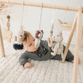 Cargar la imagen en la vista de la galería, Handmade Crochet Toys for Baby Gym | Australian friends
