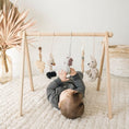 Cargar la imagen en la vista de la galería, Handmade Crochet Toys for Baby Gym | Australian friends
